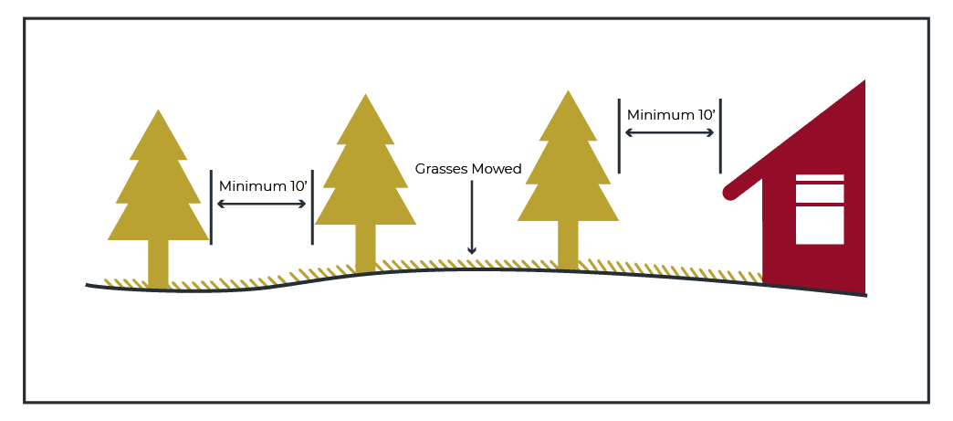 Figure 603.2.2 10-foot separation Between tree crowns and structures
